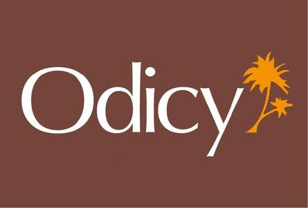 Logo Odicy
