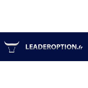 Logo Leader option