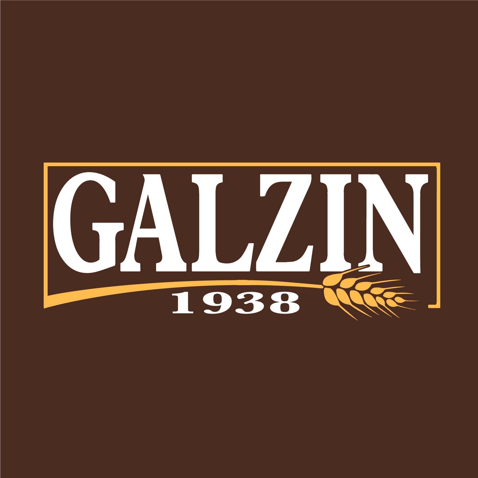 Logo Galzin Sud