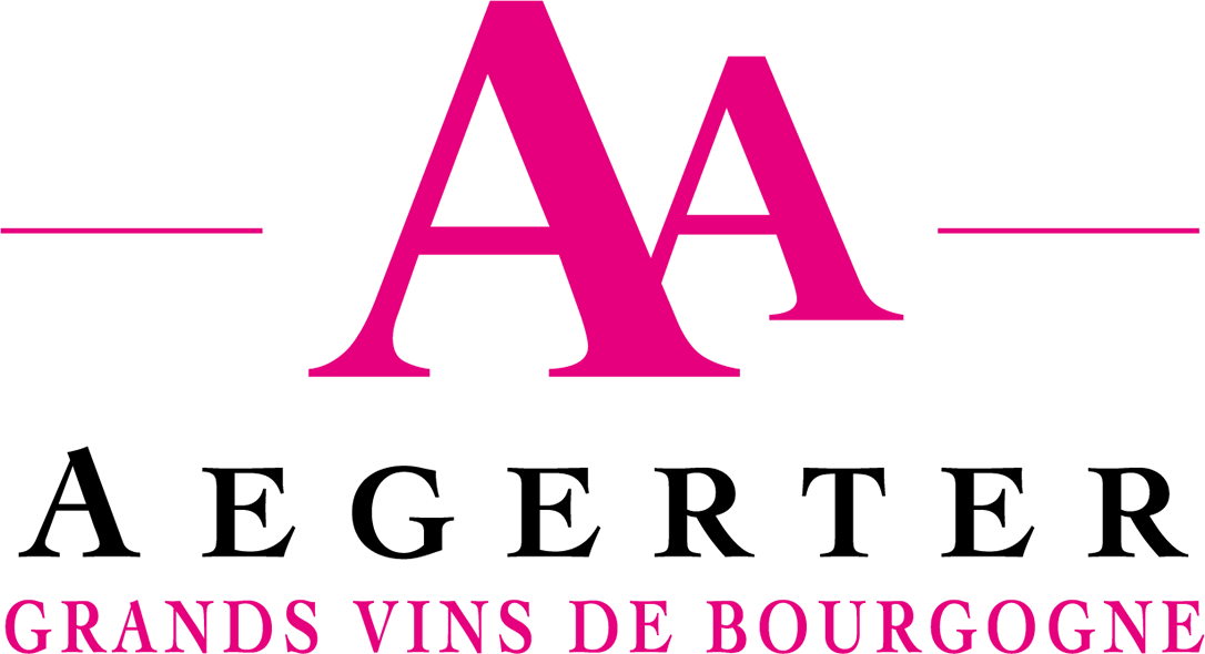 Logo Caveau des Vignerons - CDV