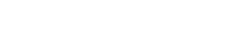 Volkswagen Group France