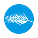 Logo Carlton International