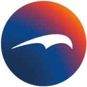 Logo LSN Assurances