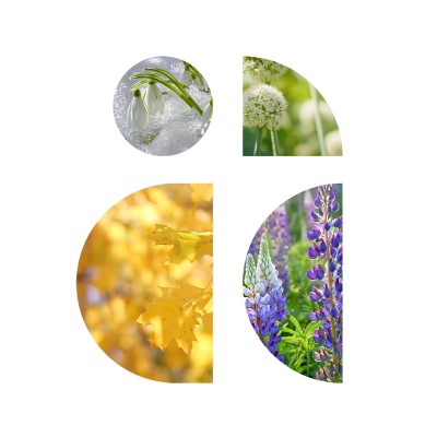 Logo Finorga SAS Mourenx (an Axplora company)