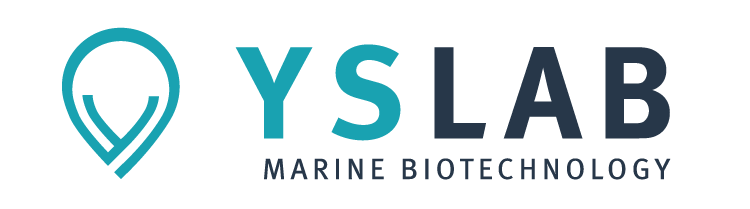 Logo YSLAB