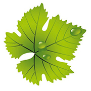 Logo Salon du vin
