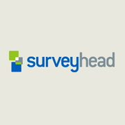 Logo Surveyhead