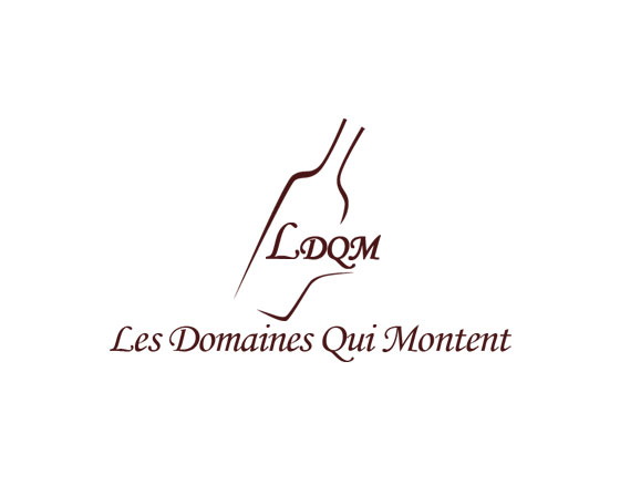 Logo Les Domaines Qui Montent