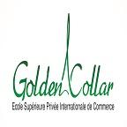 Institut GoldenCollar IGCE Business School