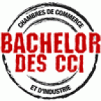 Logo Label Bachelor des CCI