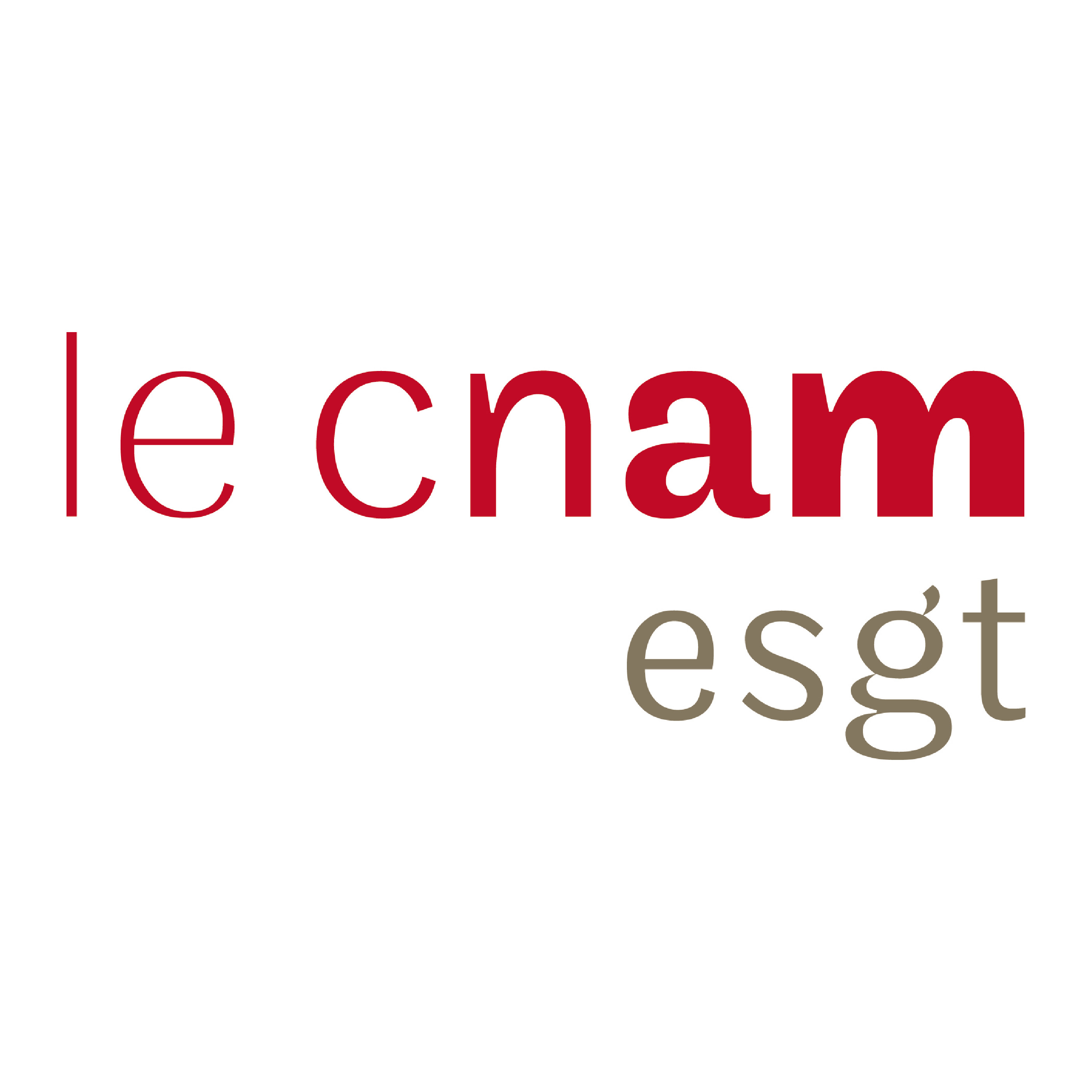 Logo Ecole Supérieure d’ingénieurs Géomètres et Topographes