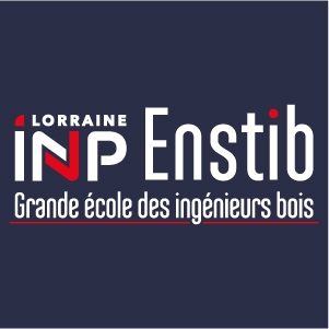 Logo Enstib Grande école des ingénieurs bois