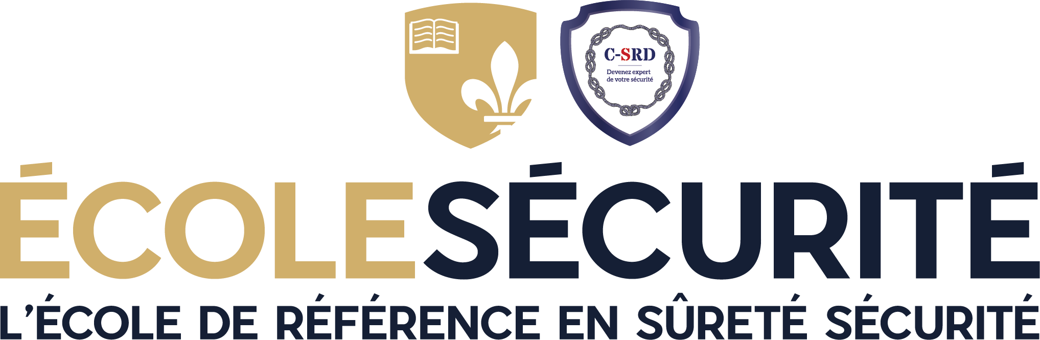 École sécurité C-SRD - Lyon