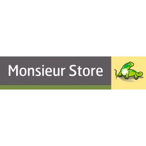 Logo Monsieur Store