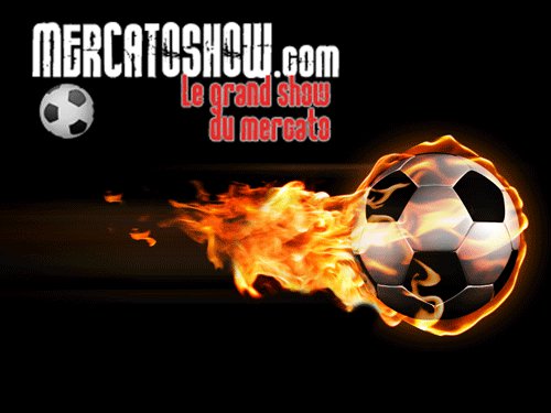 Logo Mercatoshow