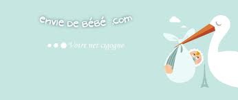 Logo Envie de bebe