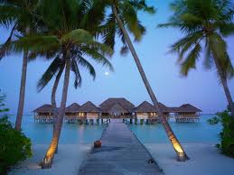 Logo Maldives